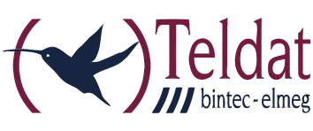 Logo TELDAT / BINTEC / FUNKWERK