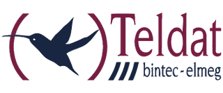 Logo TELDAT / BINTEC / FUNKWERK